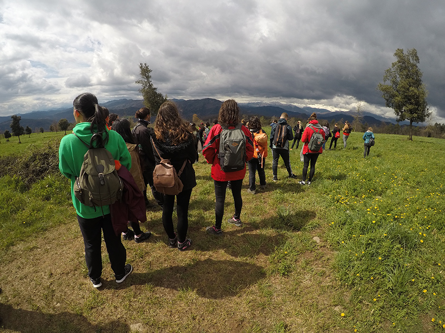 Estudiantes de Erasmus de la UVic realizan un tramo del Camí Oliba