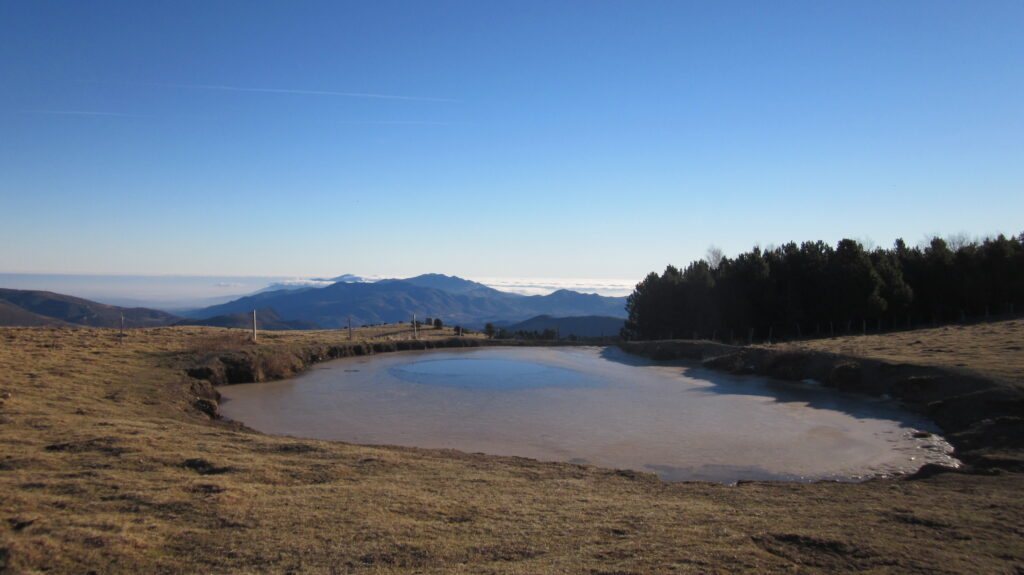 Es tracta d'una muntanya de 1638 metres que limita amb el municipi de Molló -al Ripollès- i de Prats de Molló i la Presta, de la comarca del Vallespir a la Catalunya