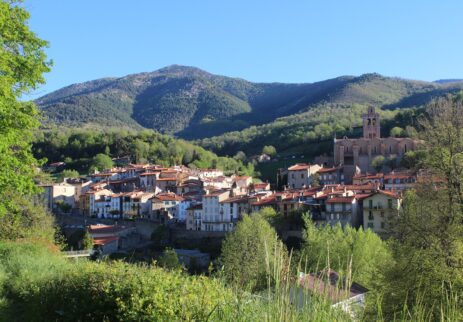 Oliba E2-IMG_4693- Prats-de-Mollo